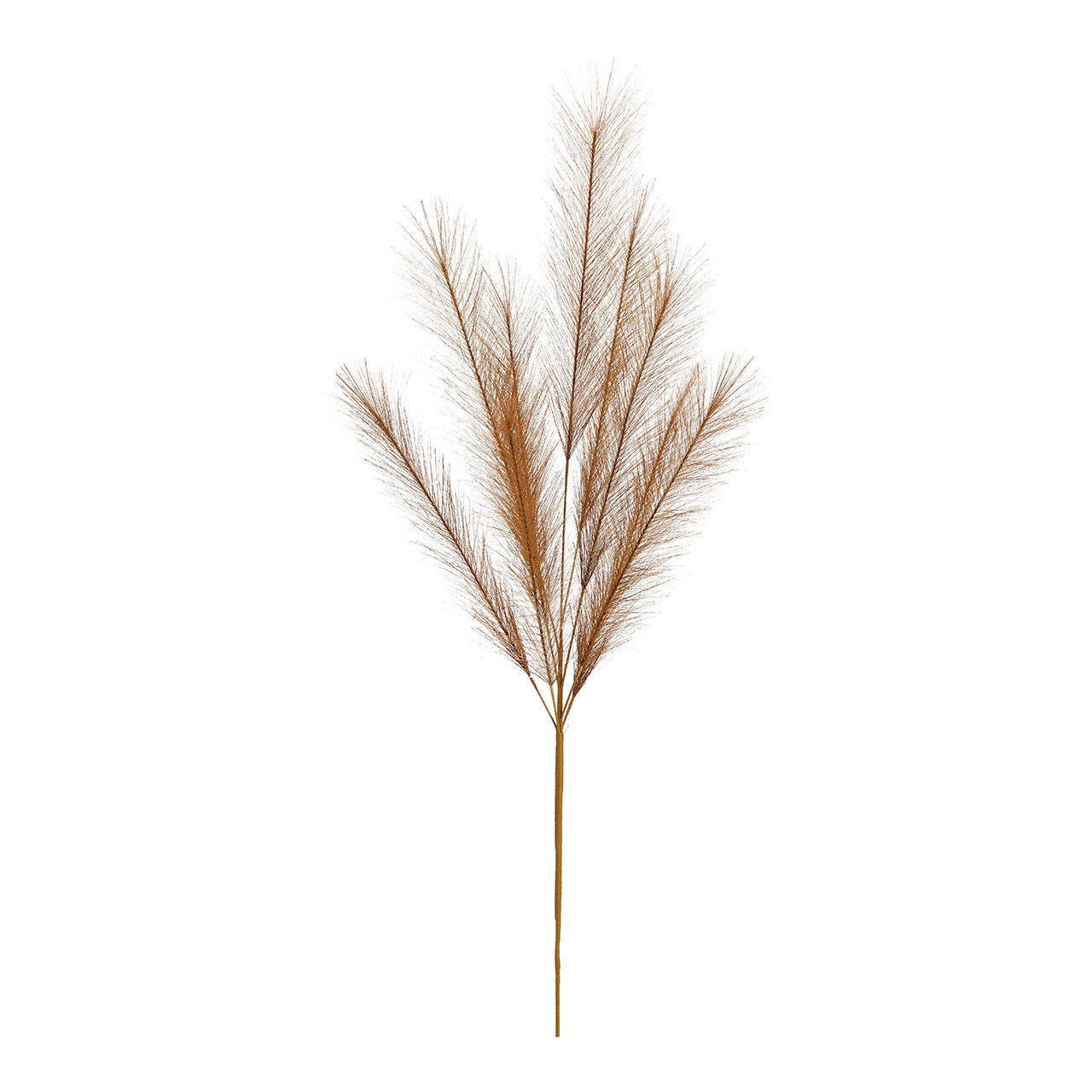 Pampas gras kunststof Bruin (H) 91cm