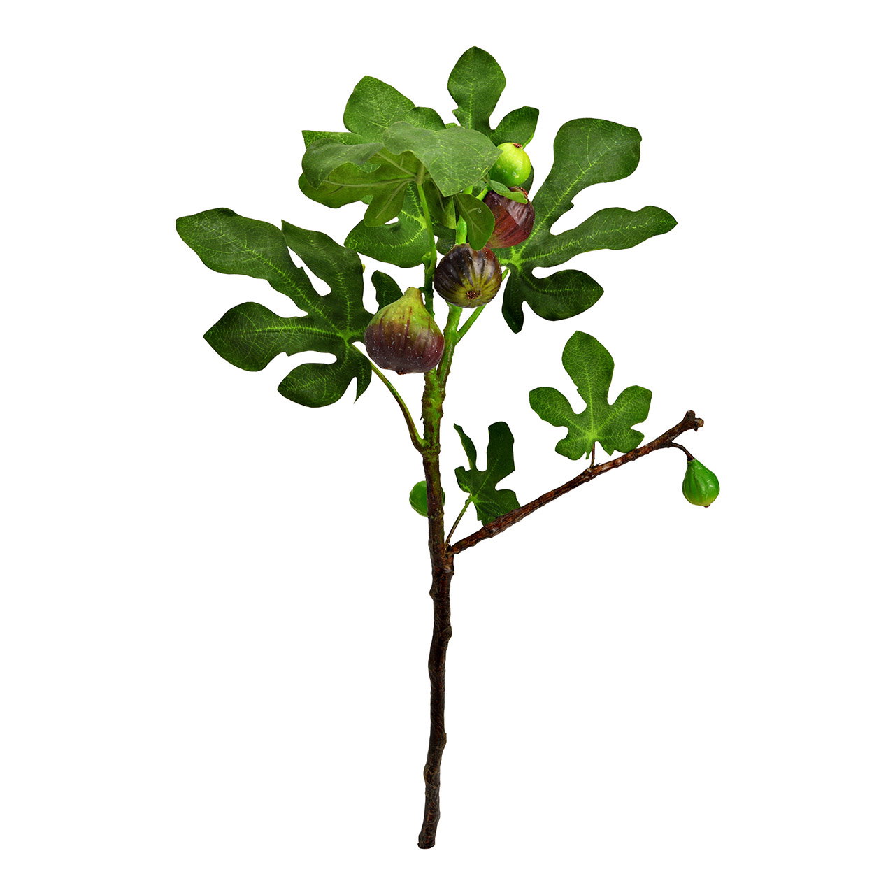 Kunstbloem vijgentak van kunststof, groen (H) 57cm Kunstbloem vijgentak van kunststof, groen (H) 57cm
