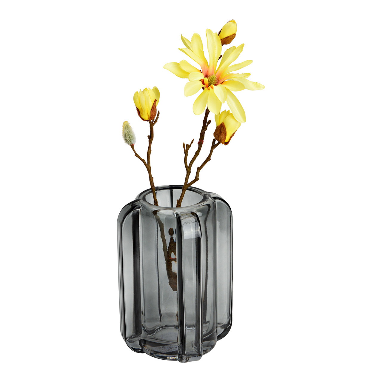 Krug, Töpferei, Vase, Pflanze, Pflanze im Topf