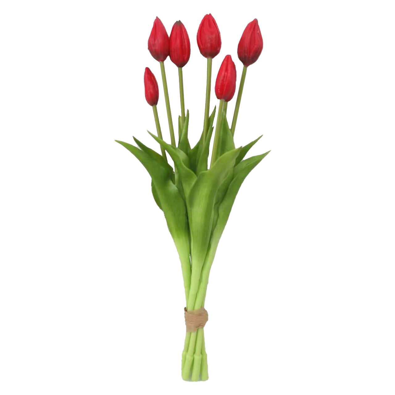 Blume, Pflanze, Blumen-Arrangement, Tulpe