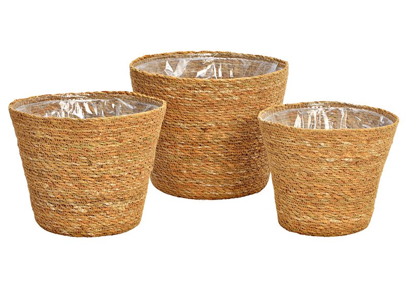 Set di 3 vasi da fiori in seagrass foderati con pellicola in materiale naturale Set naturale di 3, (L/H/D) 25x20x25cm 22x18x22cm 20x16x20cm
