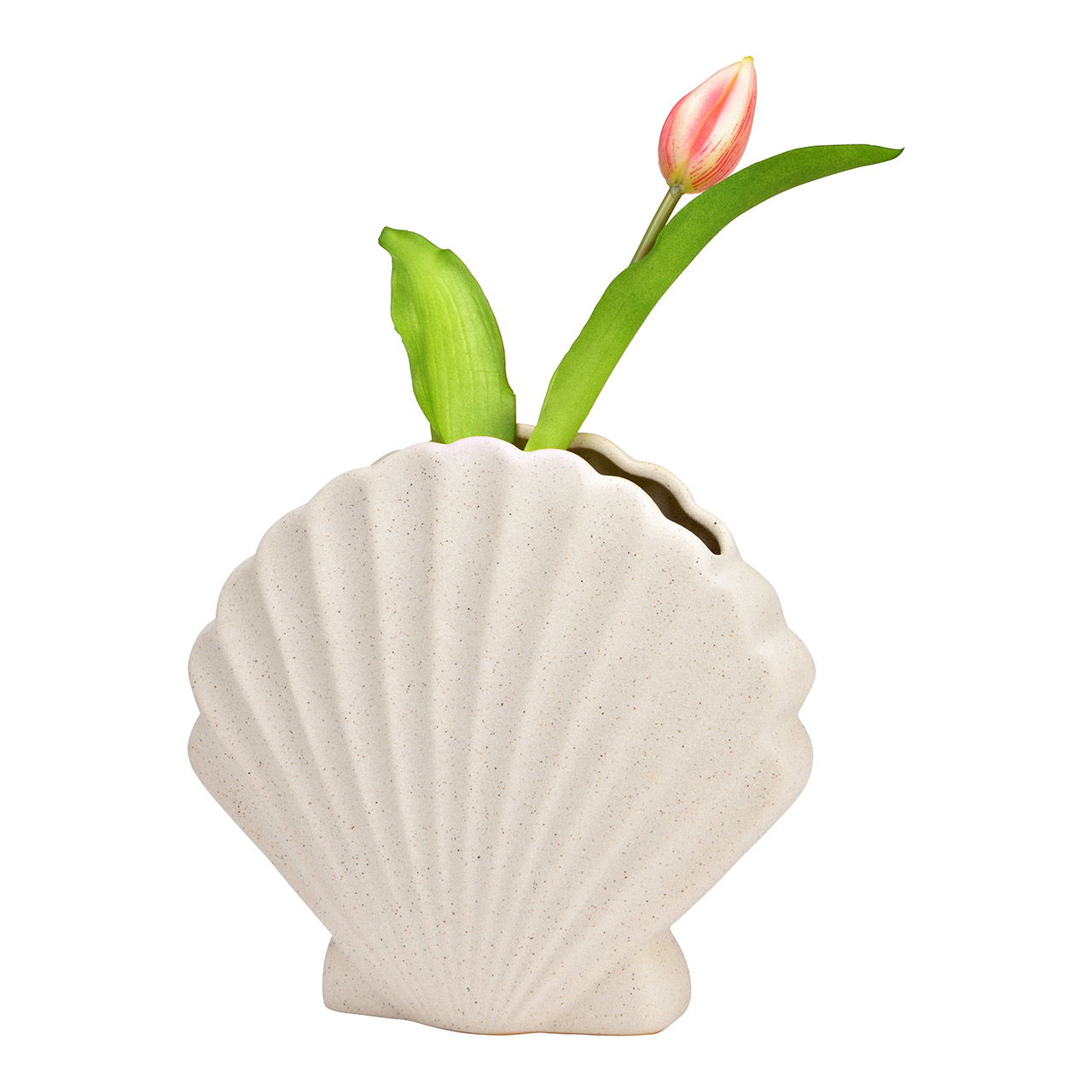 Vase shell sand finish ceramic white (W/H/D) 19x17x8cm