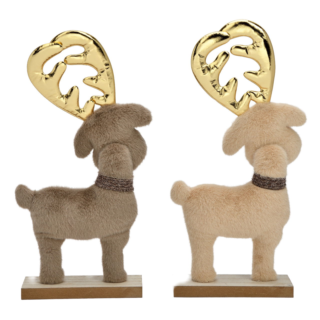 Tier, Bär, Säugetier, Tierwelt