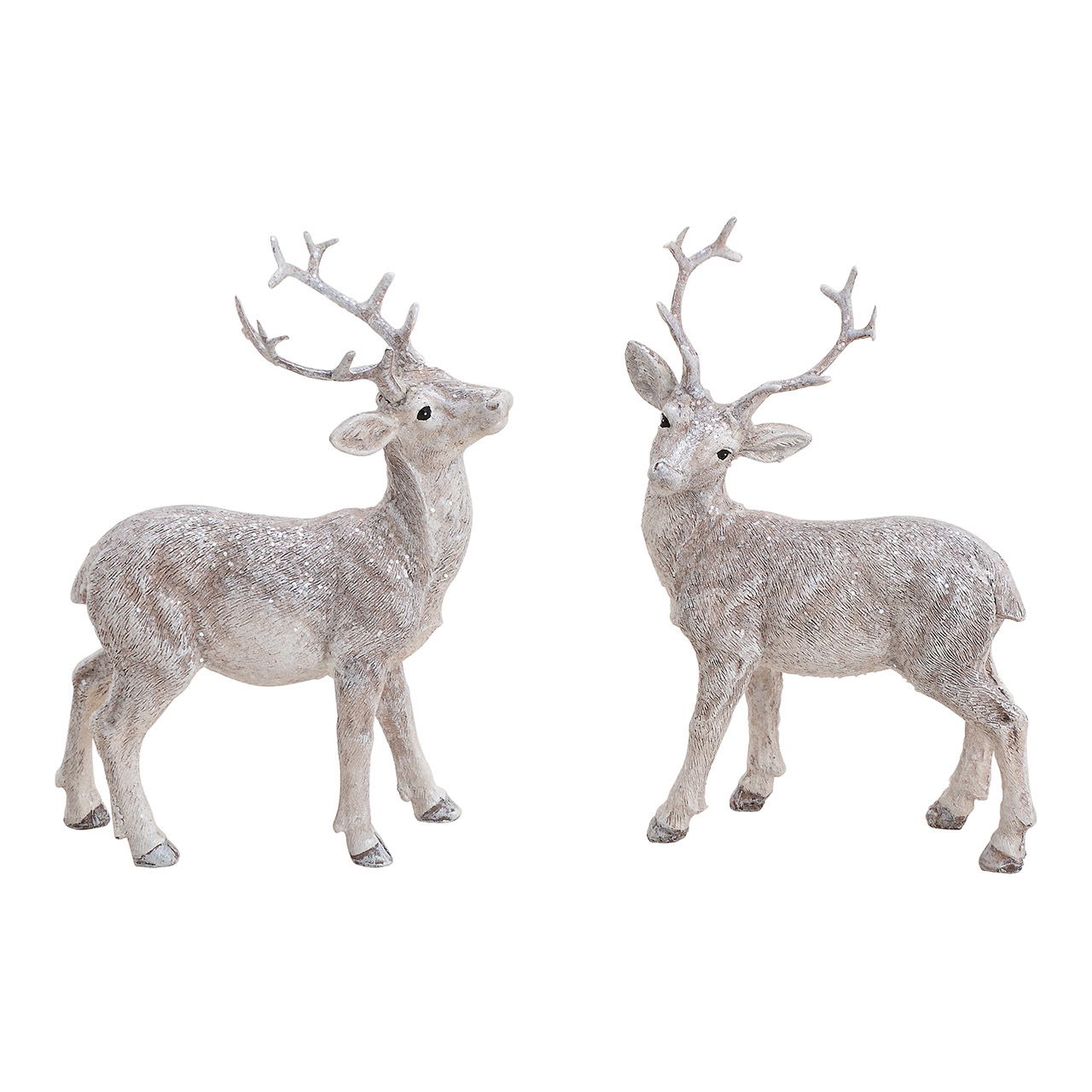 Hirsch, Säugetier, Tierwelt, Antilope, Elch