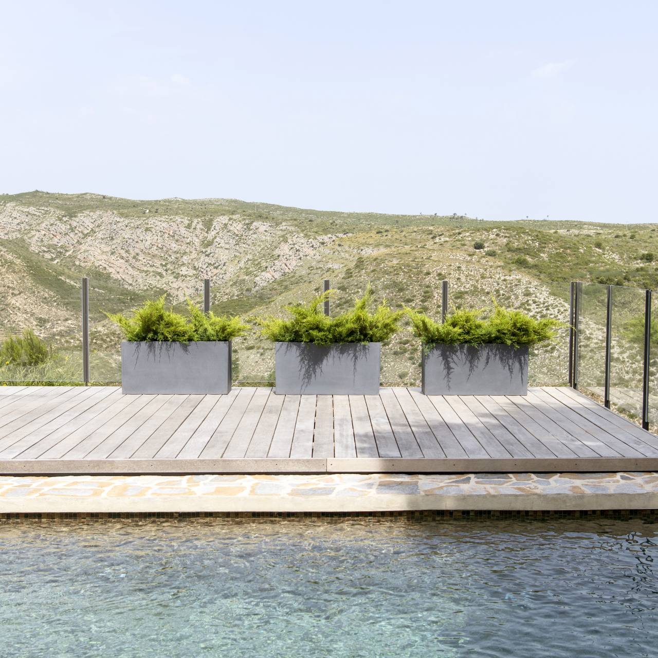 Natur, Draußen, Szenerie, Uferpromenade, Pflanze