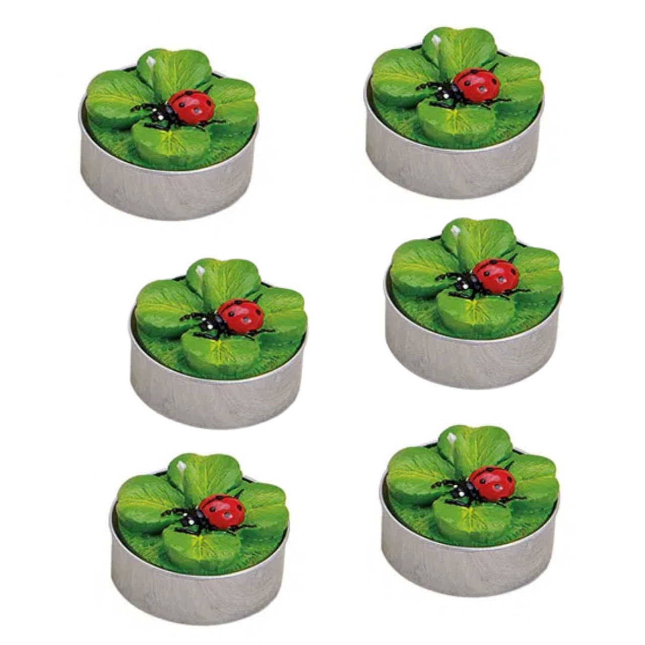 Blatt, Pflanze, Essen, Präsentation des Essens, Grün