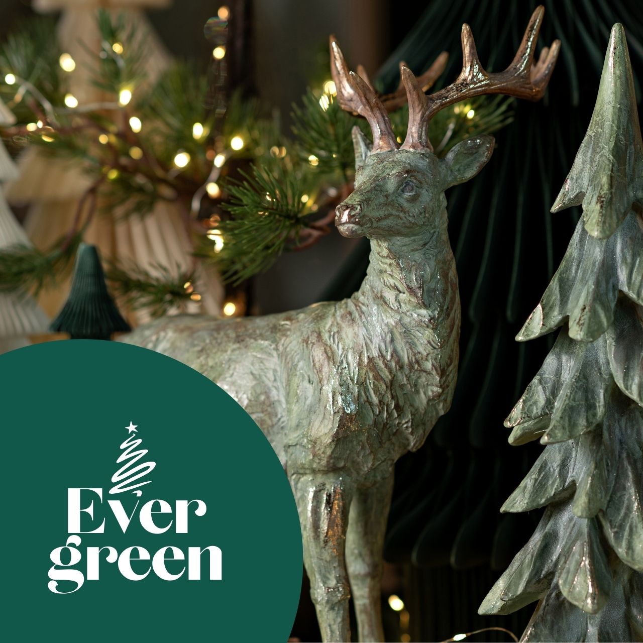 Tier, Hirsch, Säugetier, Tierwelt, Geweih