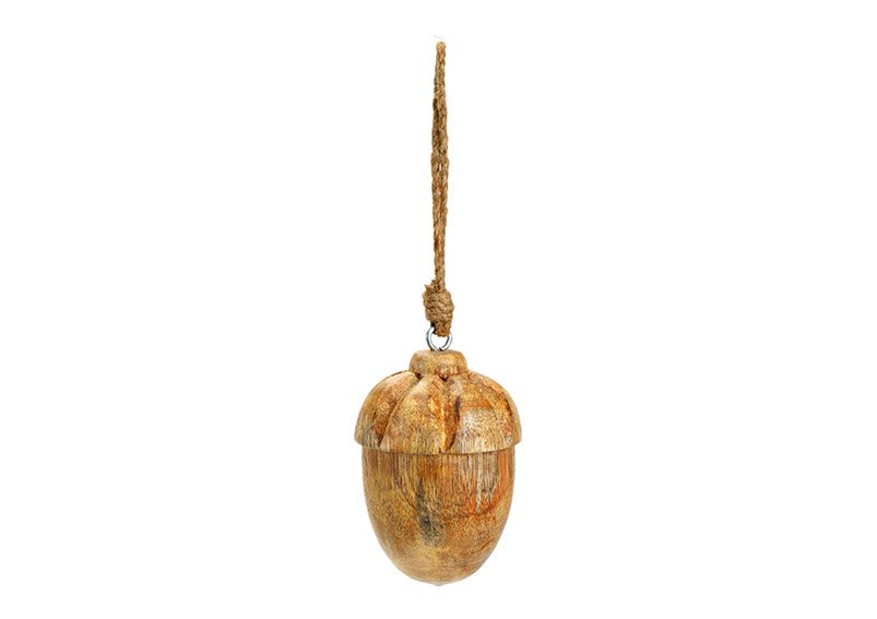 Hanger acorn nut mango wood natural (W/H/D) 8x10x8cm
