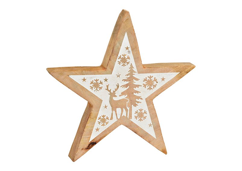 Étoile avec décor d'hiver en bois de manguier naturel, blanc (L/H/P) 25x25x4cm