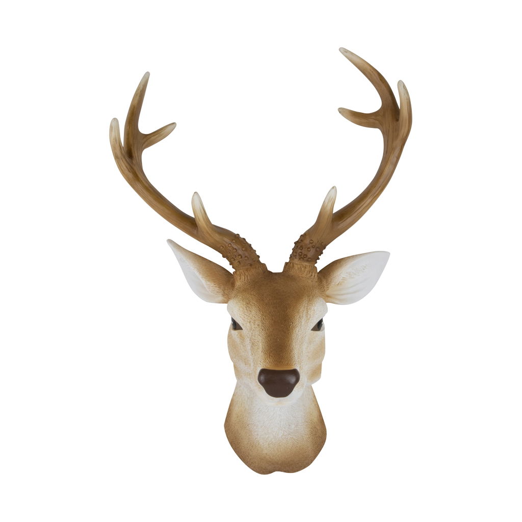 Hirsch, Säugetier, Tierwelt, Antilope, Geweih