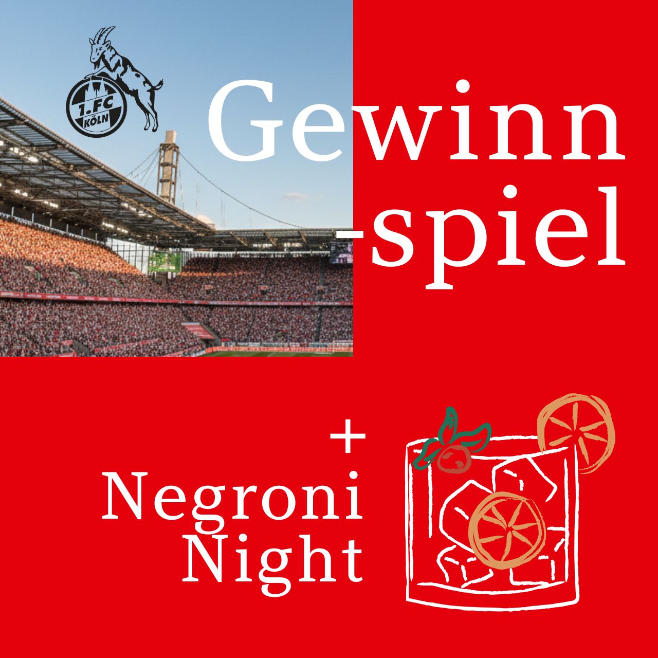 Buch, Veröffentlichung, Werbung