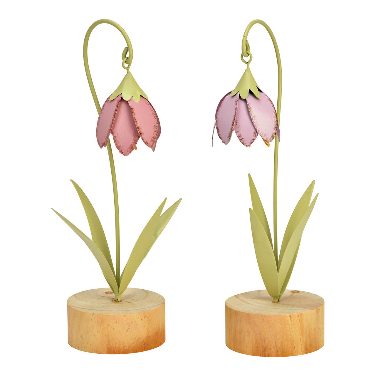 Ohrring, Blume, Pflanze, Blumen-Arrangement, Ikebana