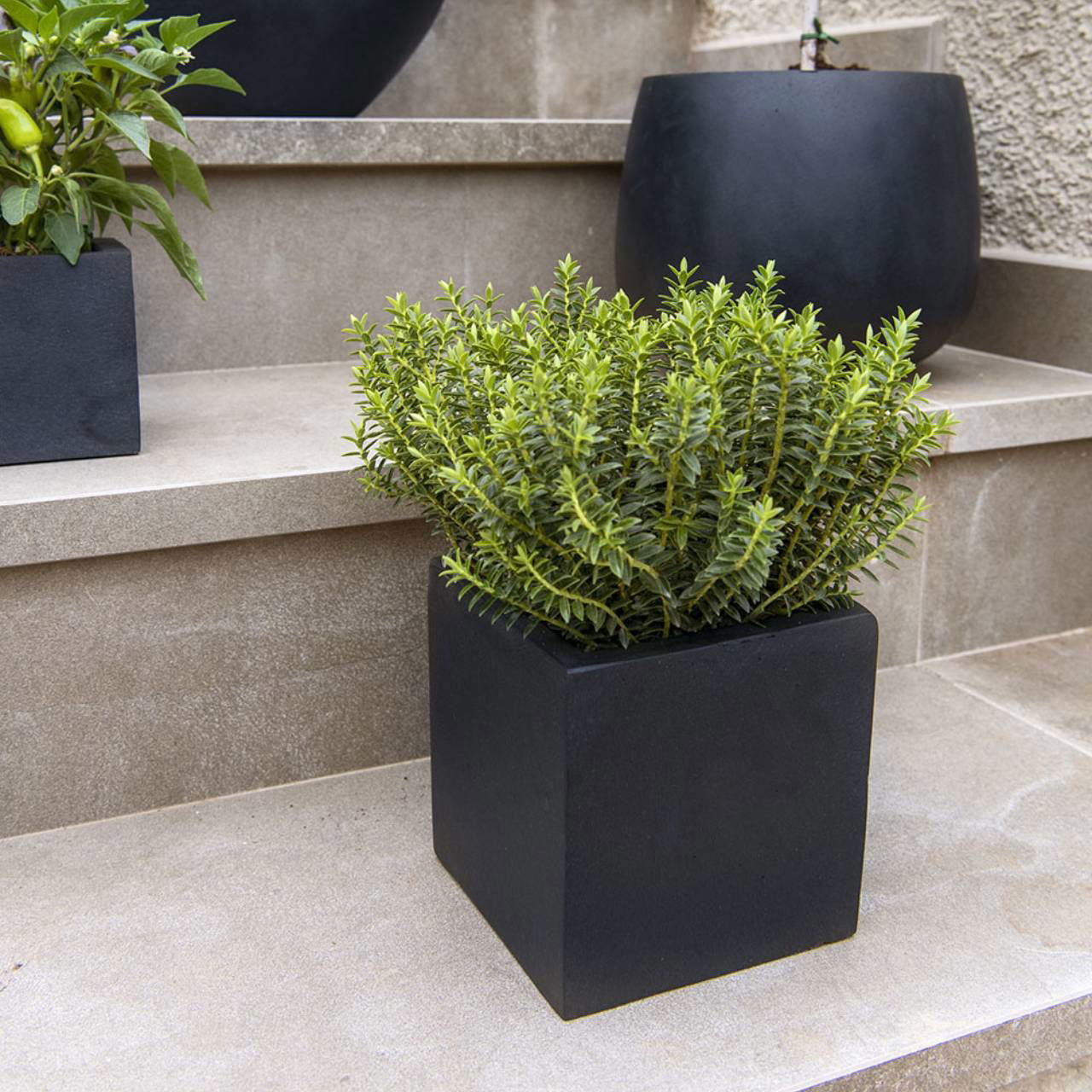 Fiberstone flower pot black (W/H/D) 15x15x15cm