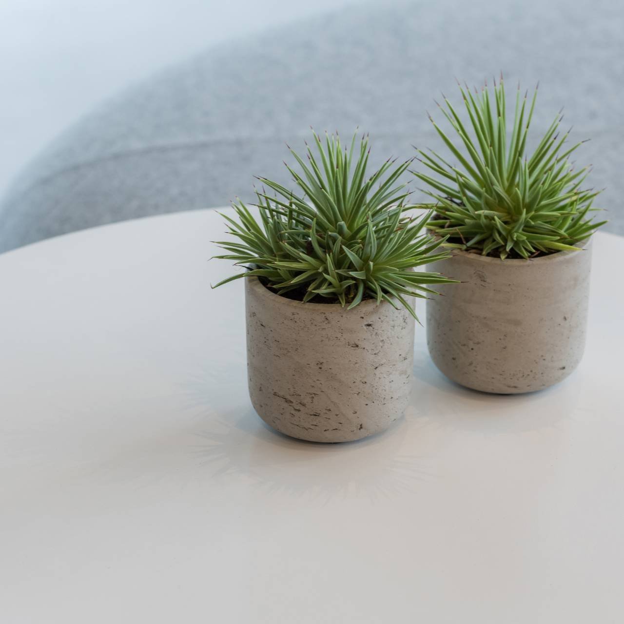 Fiberclay flower pot gray (W/H/D) 12x12x12cm