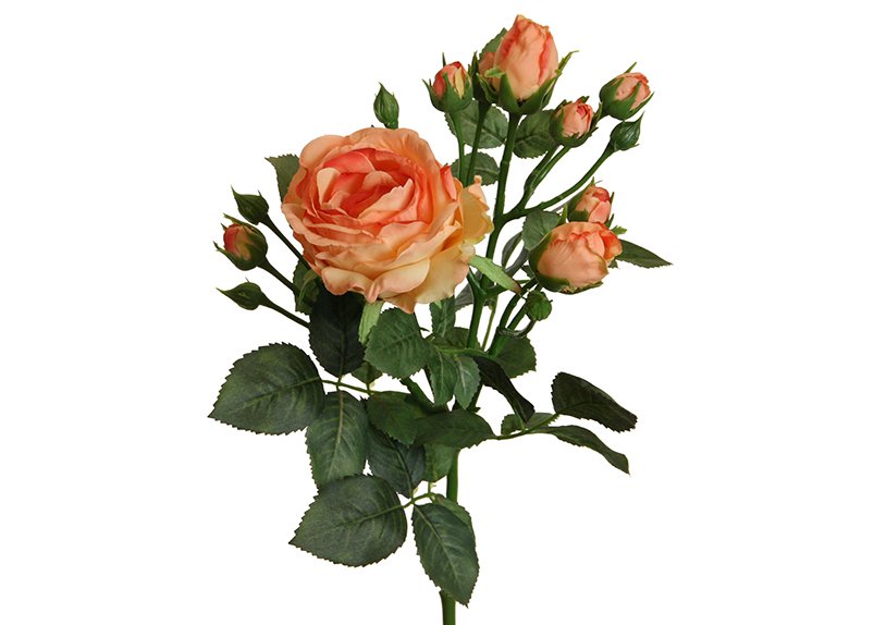 Fleurs artificielles Fleur anglaise, boutons en plastique Peach (H) 62cm