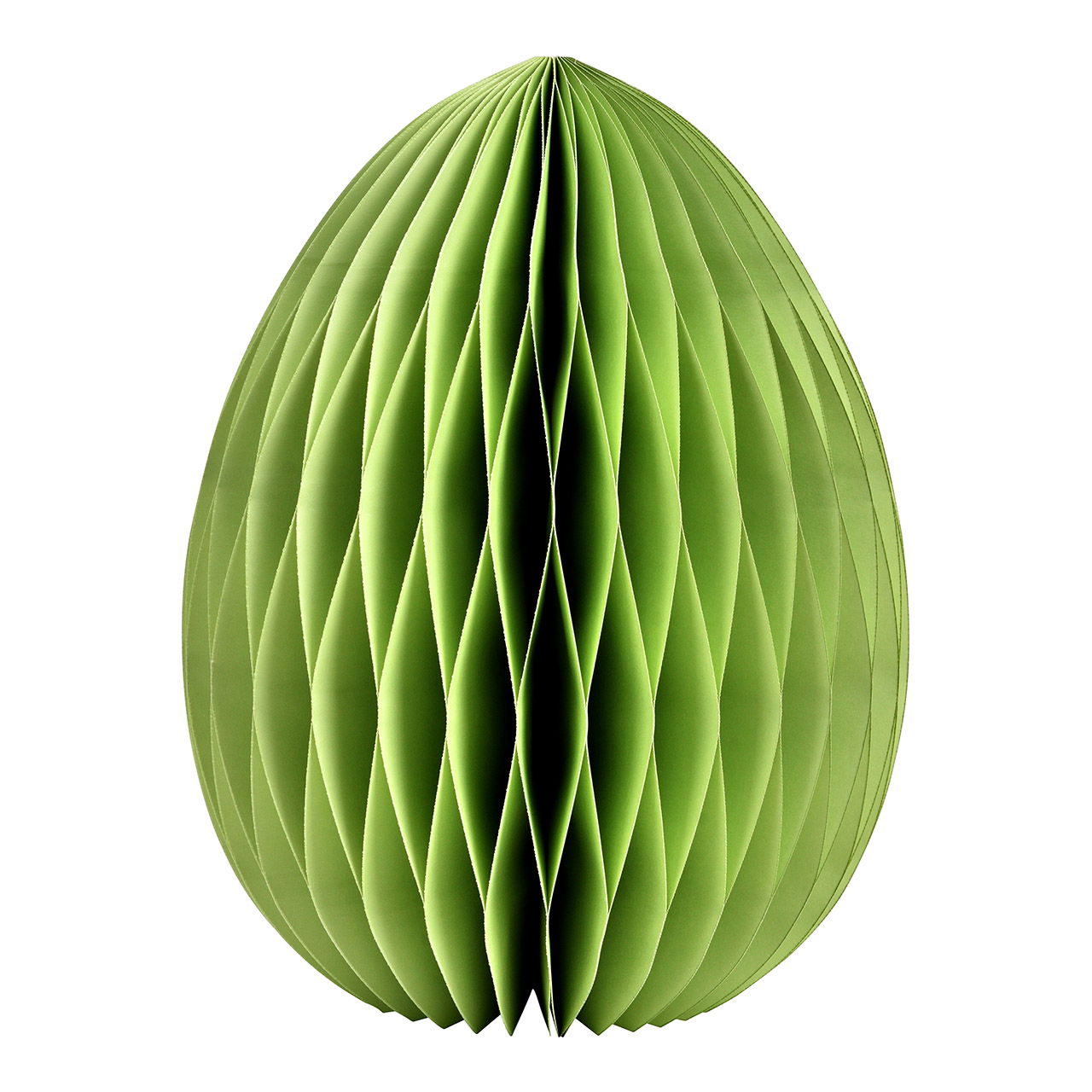 Pflanze, Papier, Blatt, Sphäre