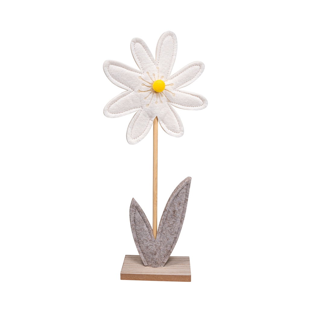 Gänseblümchen, Blume, Pflanze