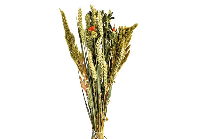 Ramo de flores secas BQ10 Colorido natural (H) 60cm