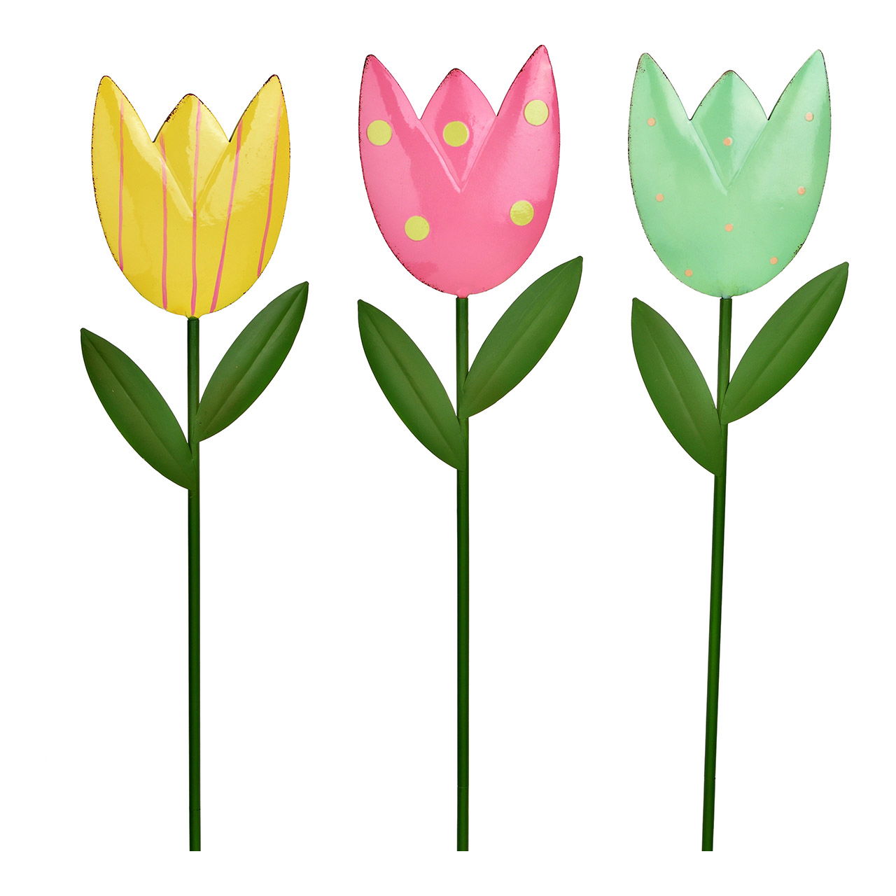 Blatt, Pflanze, Blume, Blütenblatt, Tulpe