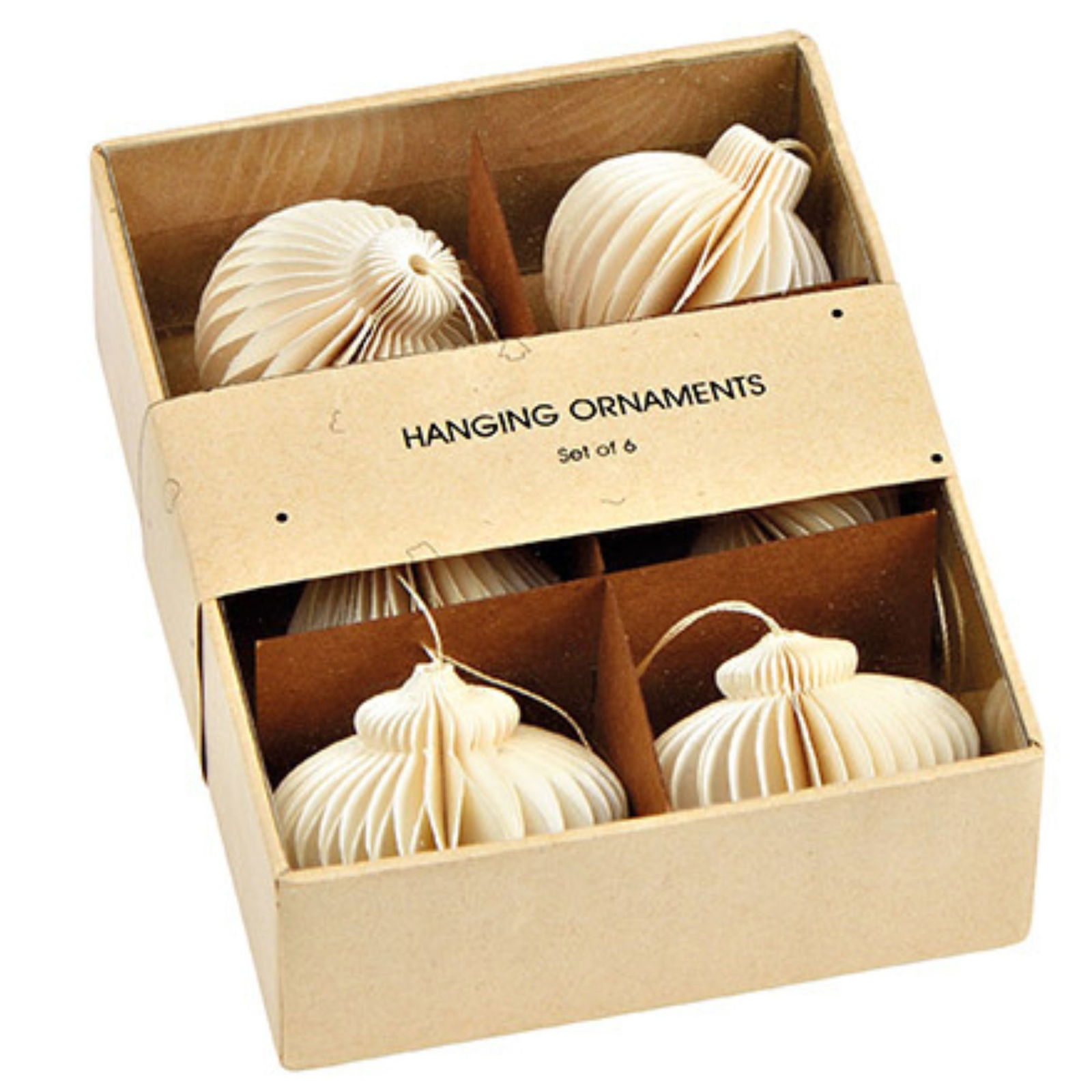 Muschel, Leben im Meer, Meeresfrüchte, Kiste