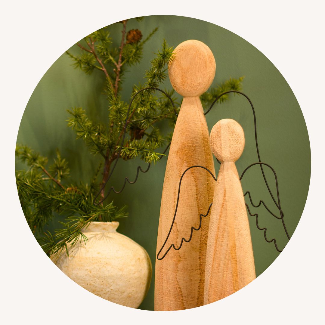 Konifer, Pflanze, Baum