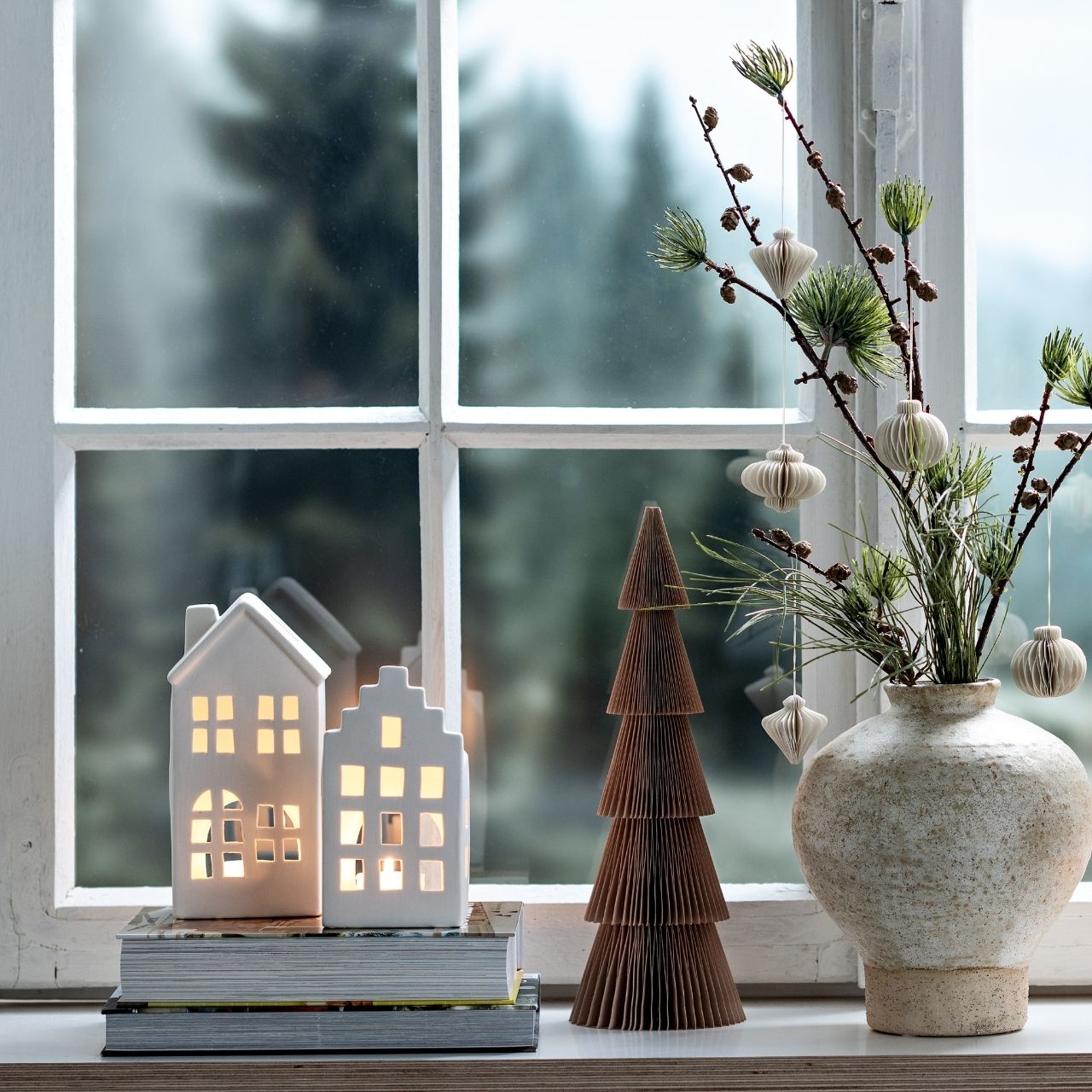 Fenster, Fensterbank, Pflanze