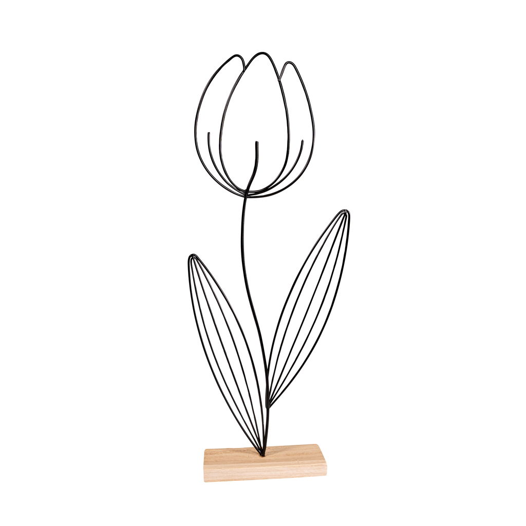 Blume, Pflanze, Blumen-Arrangement, Mobiliar