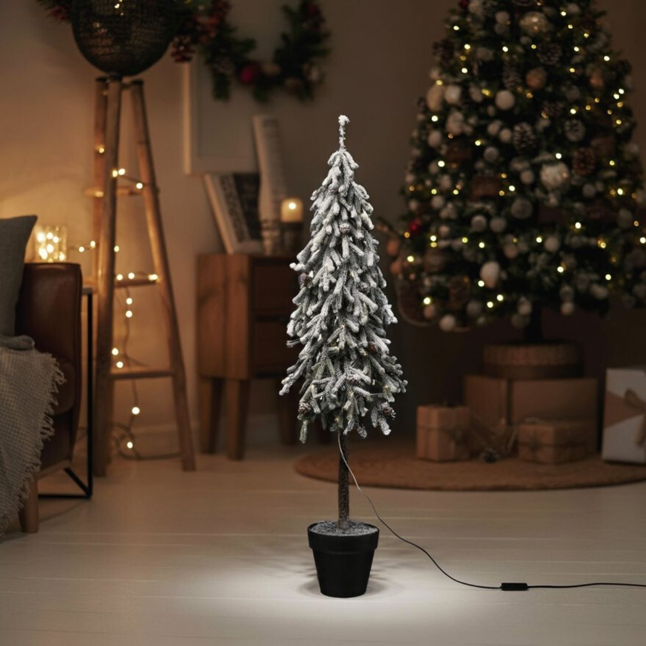Pflanze, Baum, Kiefer, Weihnachtsdekorationen, Festival