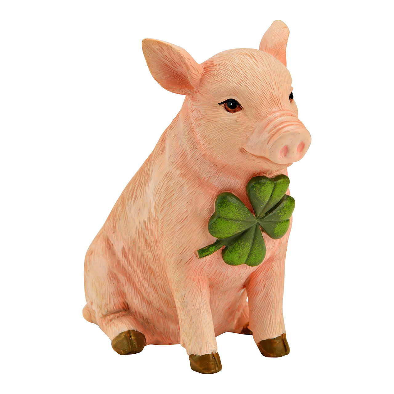 Tier, Säugetier, Schwein
