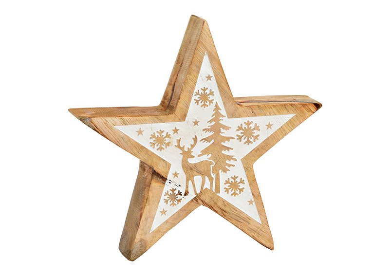 Étoile avec décor d'hiver en bois de manguier naturel, blanc (L/H/P) 20x20x4cm