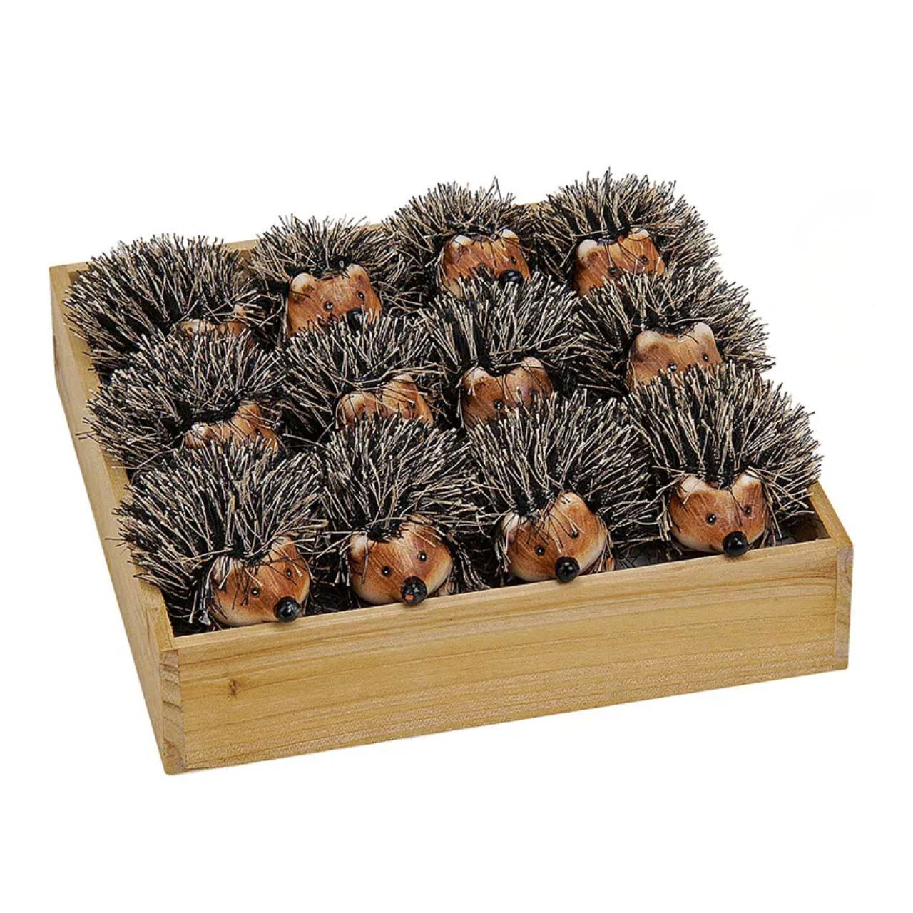 Tier, Igel, Säugetier, Stachelschwein, Nagetier