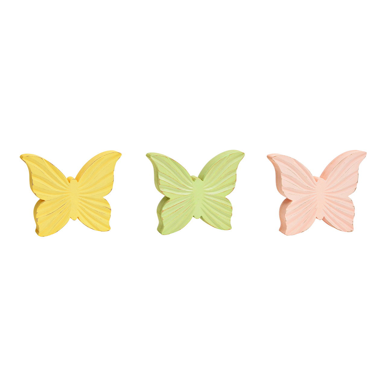 Blatt, Pflanze, Narzisse, Blume