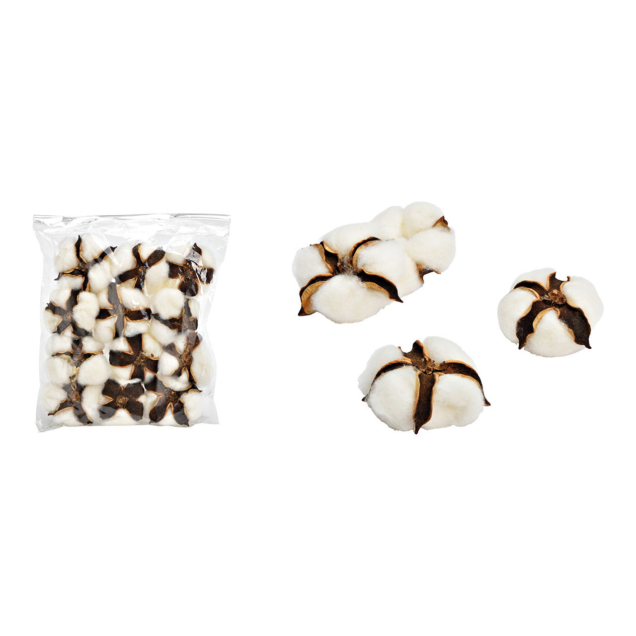 Baumwoll Dolden Set aus Naturmaterial Natur 12er Set, Ø5cm Baumwoll Dolden Set aus Naturmaterial Natur 12er Set, Ø5cm