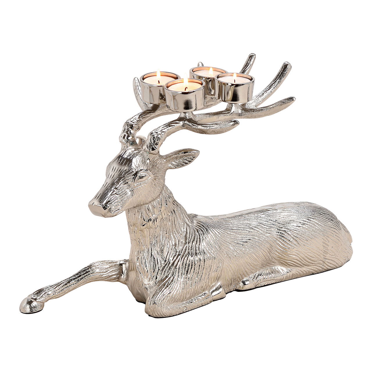 Tier, Antilope, Säugetier, Tierwelt, Hirsch