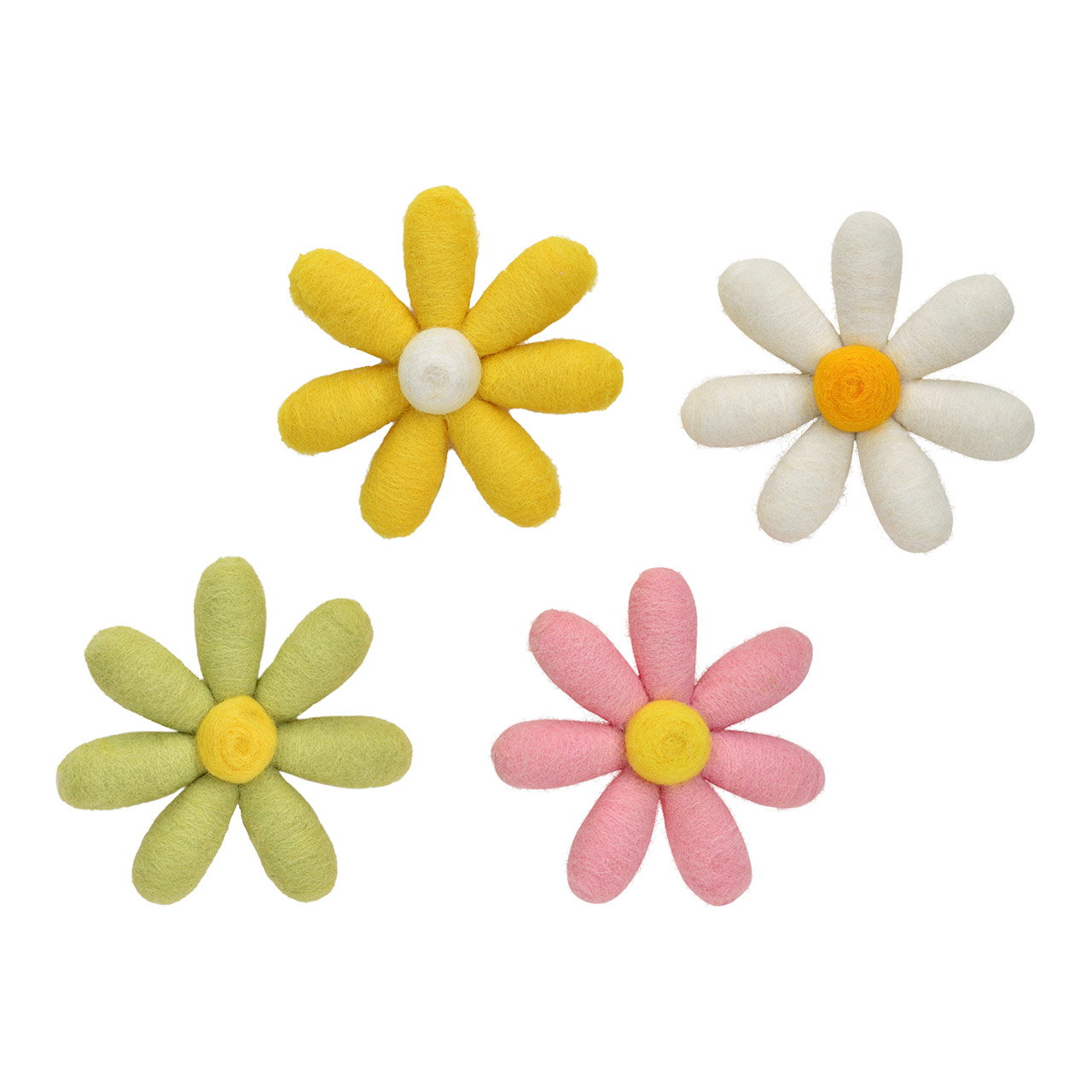 Gänseblümchen, Blume, Pflanze, Zubehör