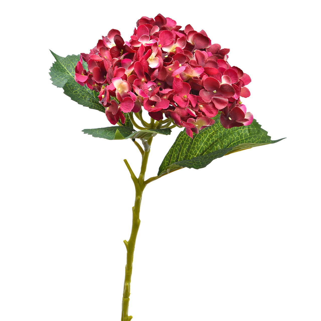 Hydrangea, Blume, Stängel, Rosa, Blätter