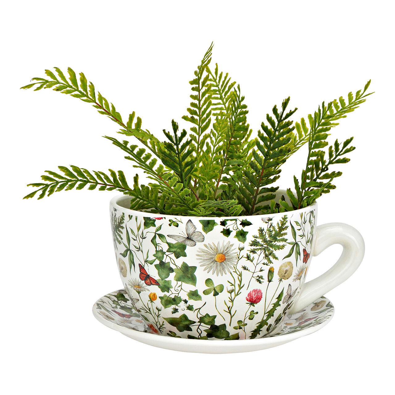Pflanze, Kräuterig, Töpferei, Tasse, Blumen-Arrangement