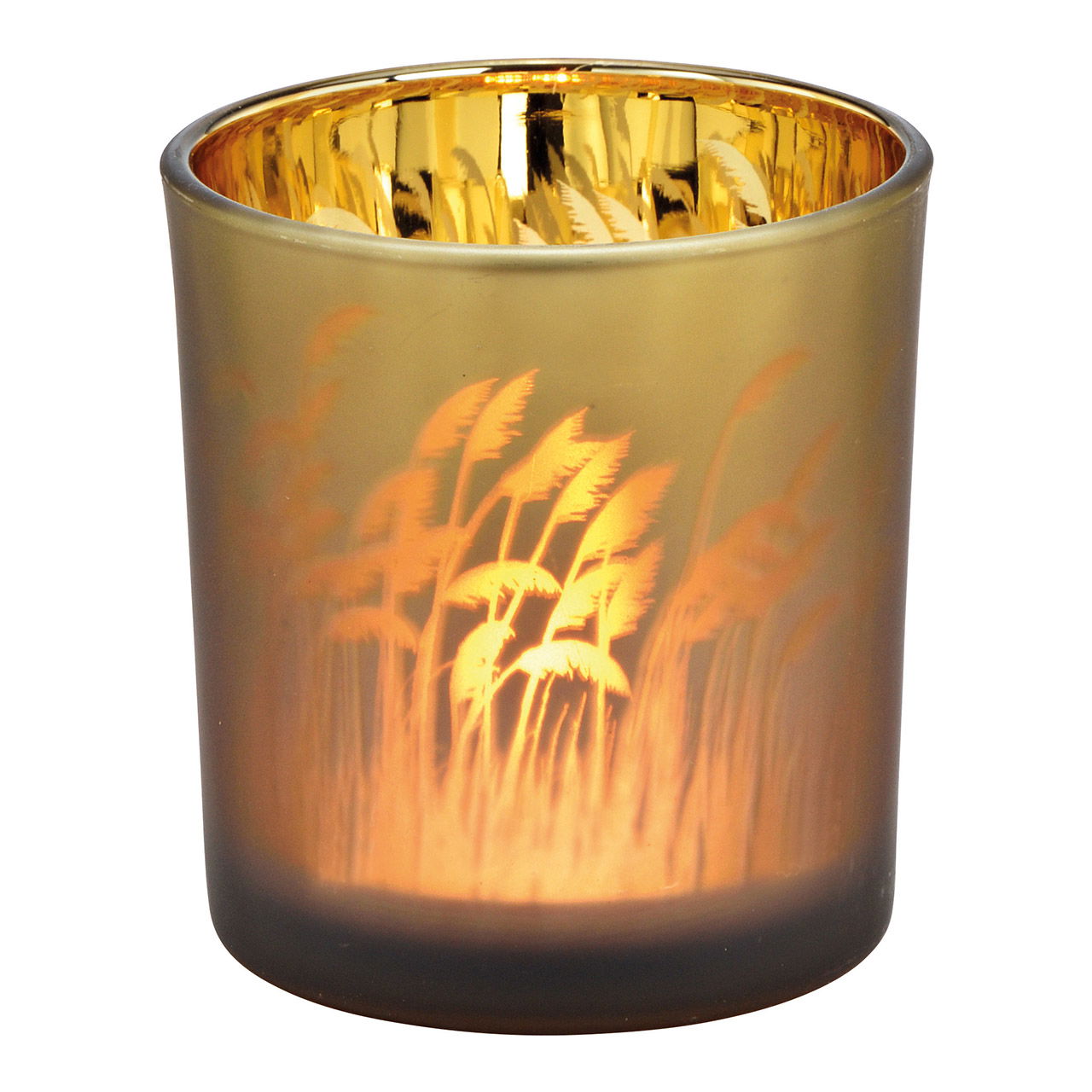 Windlicht pampasgras decor van glas bruin, goud (B/H/D) 7x8x7cm